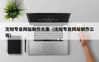 浙江沈阳专业网站制作方案（沈阳专业网站制作公司）